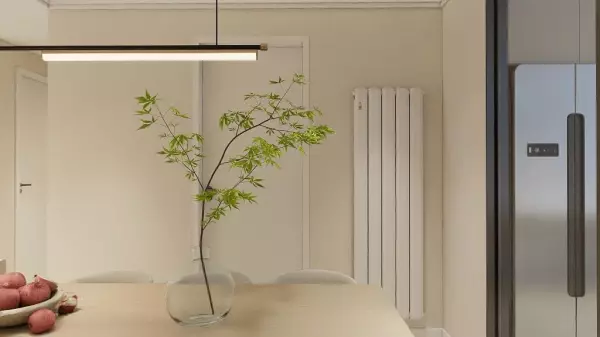 南山散热器是哪里生产的(2)