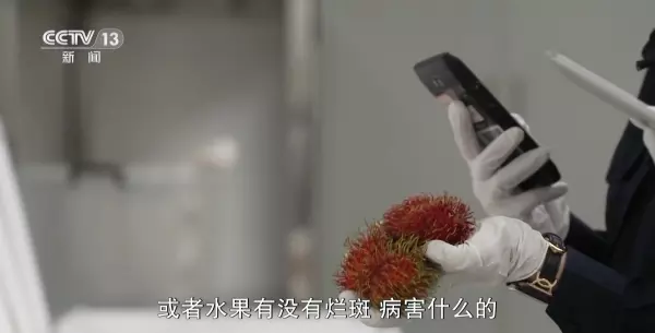 广交会展位价格春季和秋季哪个贵(26)
