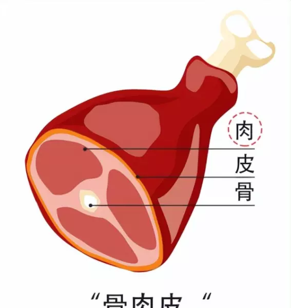 e1杨木15mm胶合板价格(1)
