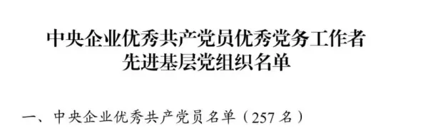 嘉宝莉化工集团股份有限公司是国企吗(6)