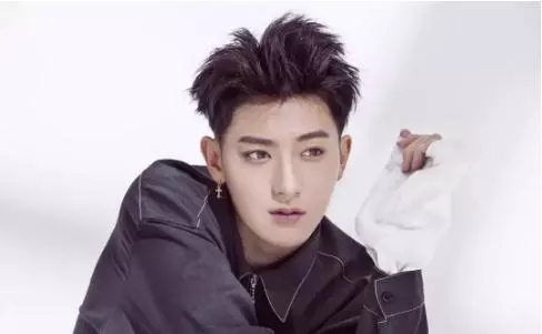 中国最帅的男人前十名排名(5)