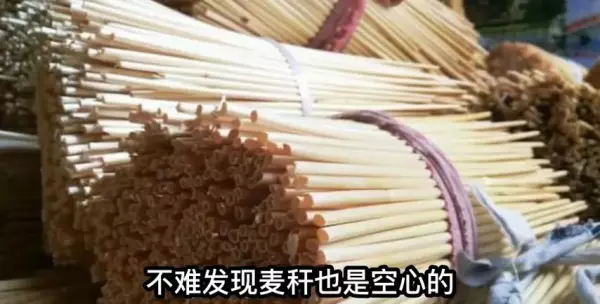 水泥电线杆基础做法图集(3)