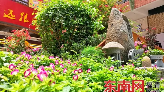 福清市成龙步行街属于哪个街道(1)