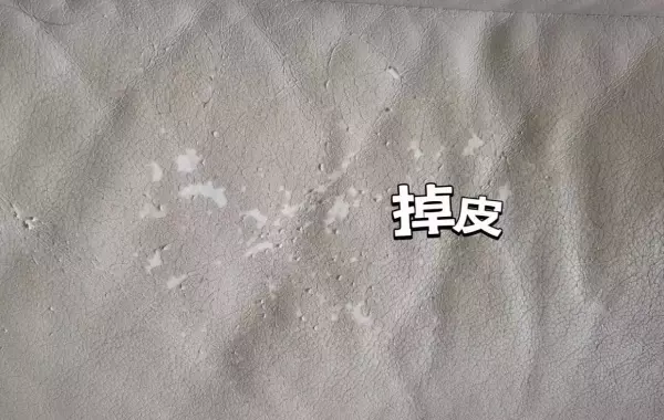布沙发和科技布沙发哪种好(5)