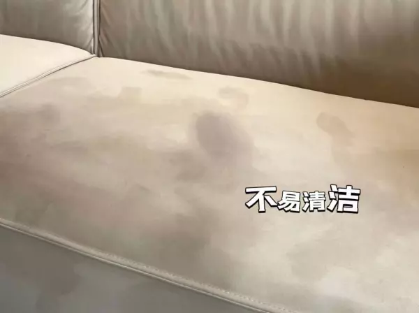 布沙发和科技布沙发哪种好(7)