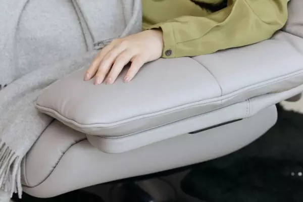 natuzzi italia属于什么档次(20)