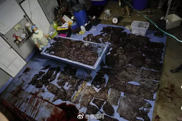 地中海阳光沙滩哪个国家(4)