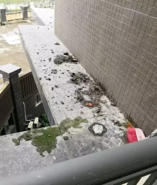24楼层好不好为什么售楼18层和24层不好卖(16)