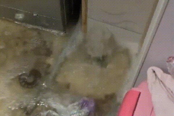 24楼层好不好为什么售楼18层和24层不好卖.