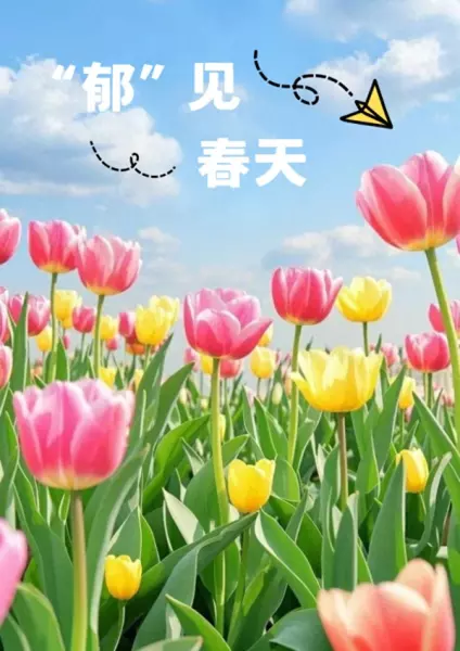 东方郁金香小区属于哪个街道(1)