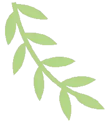 东方郁金香小区属于哪个街道(7)