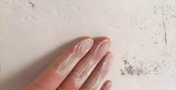 腻子粉配方用什么胶粉(1)