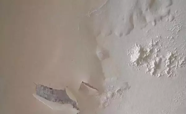 腻子粉配方用什么胶粉(4)