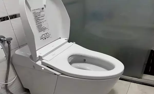 智能马桶十大品牌排名前十(2)