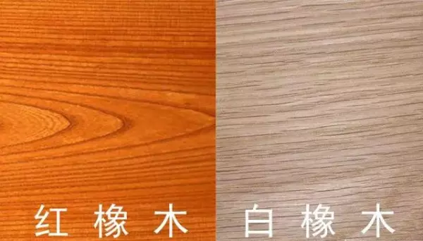 柚木家具和胡桃木家具哪种木材好(7)