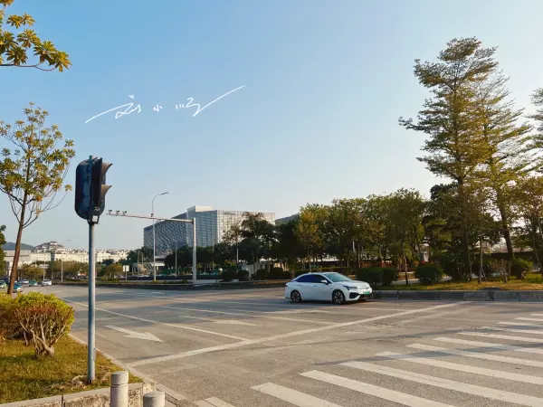 白云新城为什么发展不起来(11)