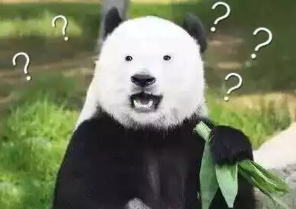 山毛榉是实木里最差的吗(3)