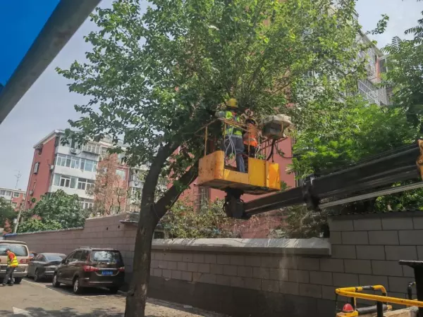 裕中西里小区属于哪个街道(3)
