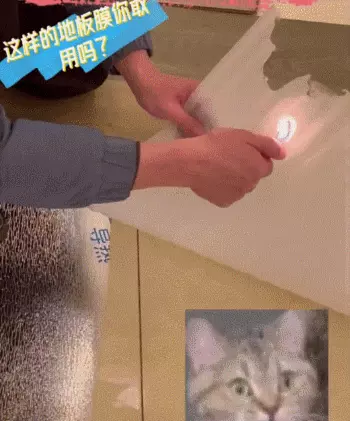 奥林春天地板怎么样(25)