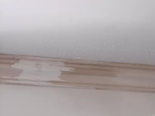 石棉瓦屋顶漏水怎么处理(1)