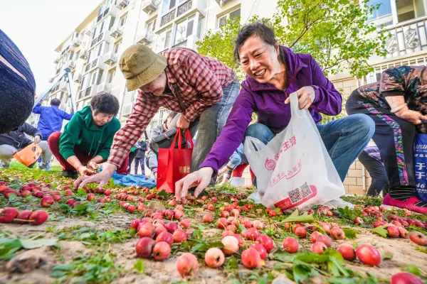 蓝星花园属于哪个街道(1)