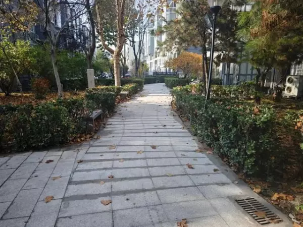 巴克寓所房子怎么样值得买吗(4)