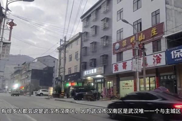 新洲二手房值得买吗.