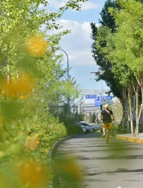 丽泽桥属于哪个区哪个街道(11)