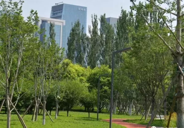 丽泽桥属于哪个区哪个街道(14)