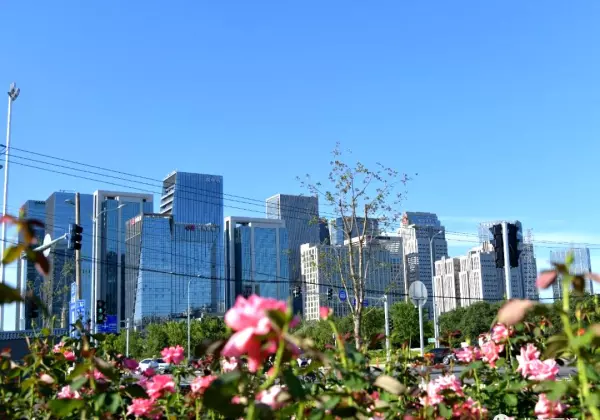 丽泽桥属于哪个区哪个街道(9)