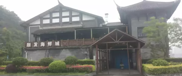 重庆市龙洲湾是哪个区(10)