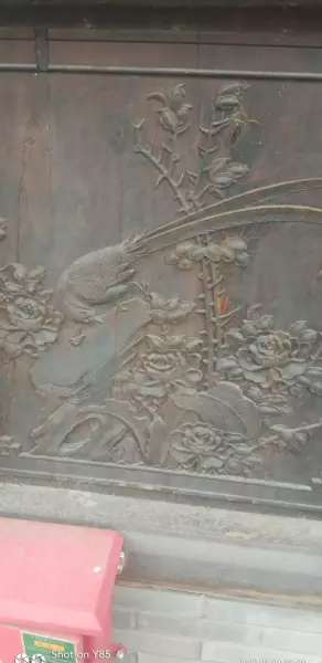 重庆市龙洲湾是哪个区(5)