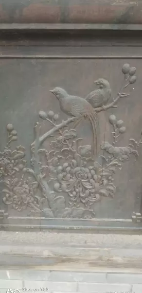 重庆市龙洲湾是哪个区(6)