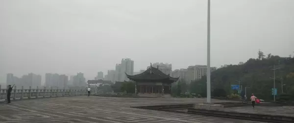 重庆市龙洲湾是哪个区(8)