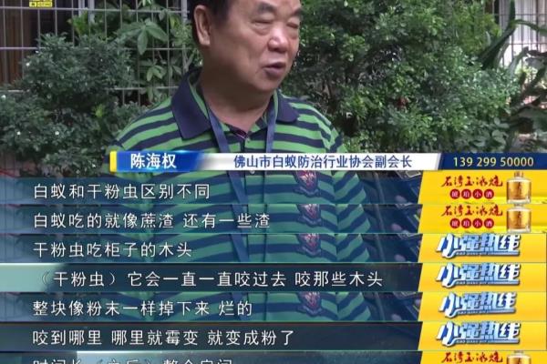 老家具里白色的虫子是什么虫.
