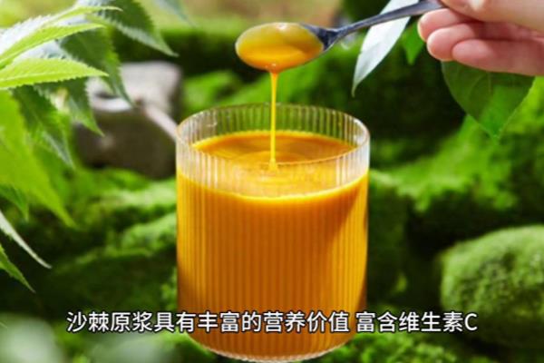 沙棘原浆的功效与作用.