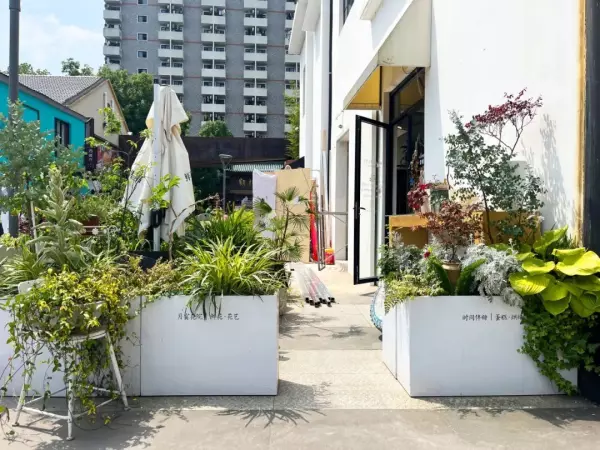 菁华园商铺附近哪有花店(3)