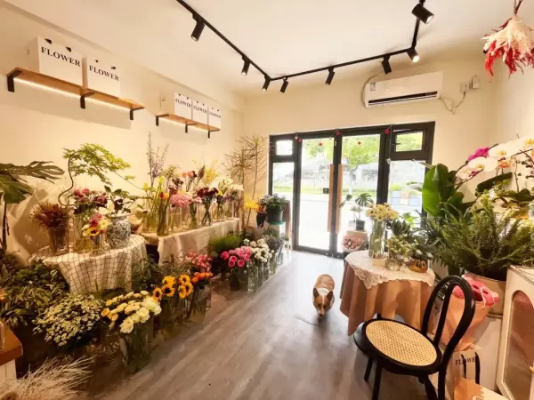 菁华园商铺附近哪有花店(6)