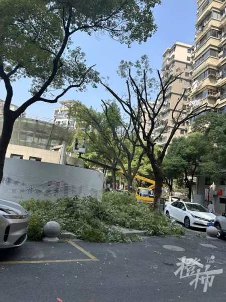 临江花园什么时候建成的(1)