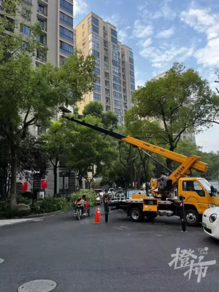 临江花园什么时候建成的(2)