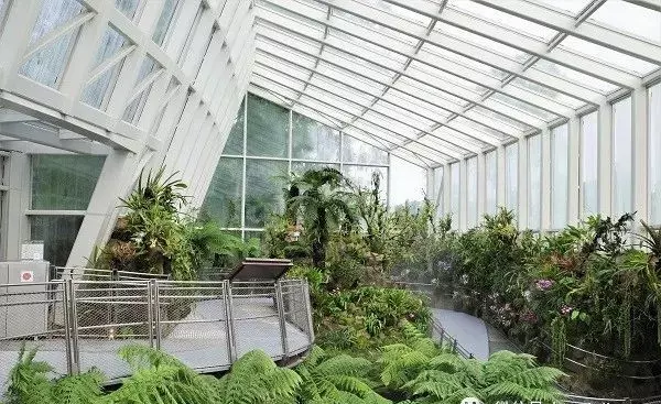 胡姬花园周围有没有社区卫生院(11)