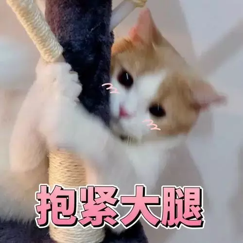 君美八宝粥是正规产品吗(1)