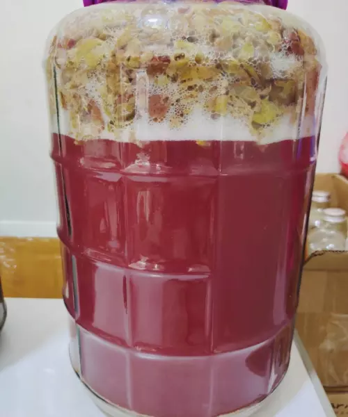 安溪红酒怎么酿制(8)