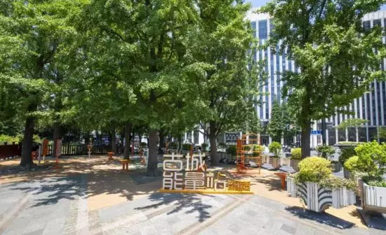东方城市花园二期什么时候建成(20)
