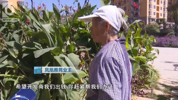 金马小区属于哪个街道办事处(21)