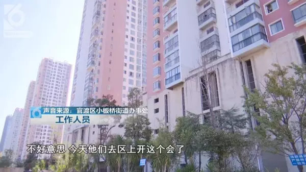 金马小区属于哪个街道办事处(32)