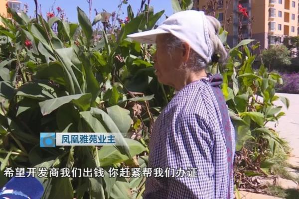 金马小区属于哪个街道办事处.