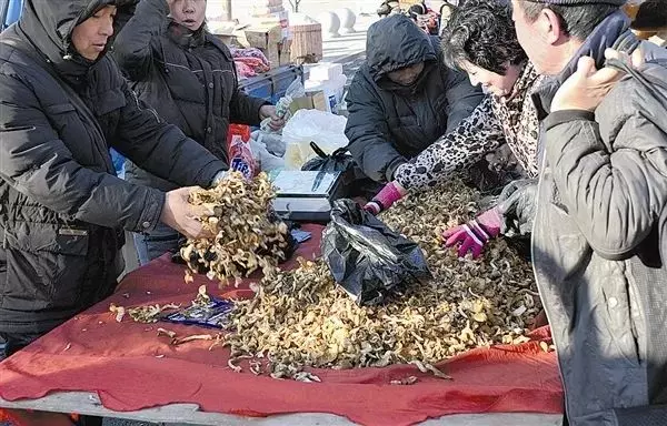 大连开发区吧大集时间(8)
