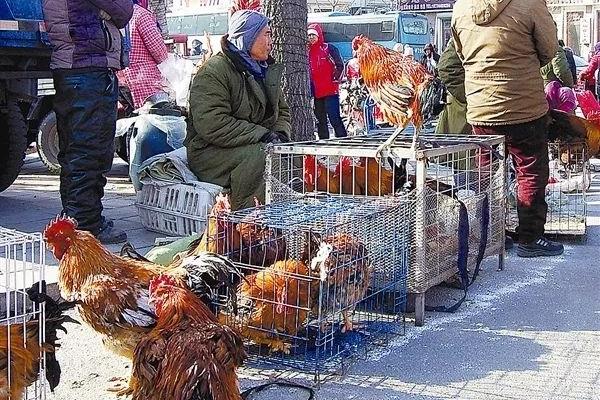 大连开发区吧大集时间.