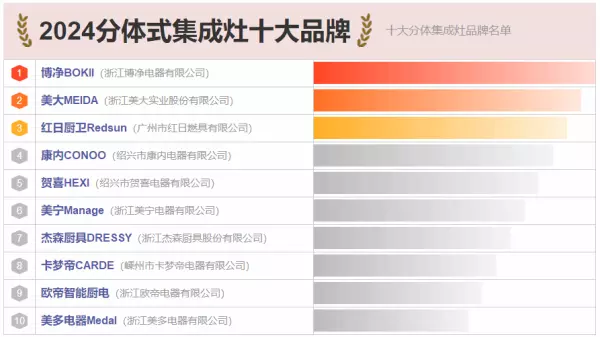 dressy牌煤气灶是什么品牌(1)